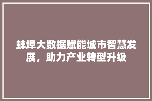 蚌埠大数据赋能城市智慧发展，助力产业转型升级  第1张
