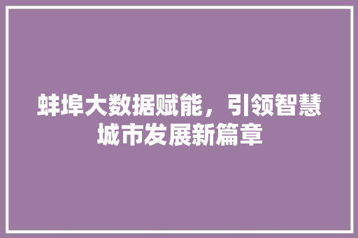 蚌埠大数据赋能，引领智慧城市发展新篇章
