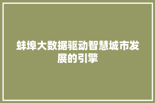 蚌埠大数据驱动智慧城市发展的引擎