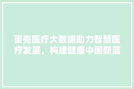 蛋壳医疗大数据助力智慧医疗发展，构建健康中国新蓝图