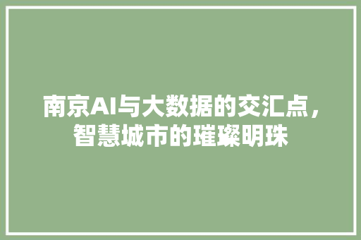 南京AI与大数据的交汇点，智慧城市的璀璨明珠