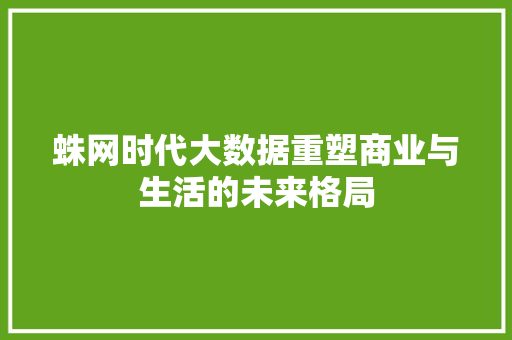 蛛网时代大数据重塑商业与生活的未来格局
