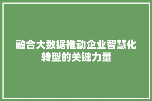 融合大数据推动企业智慧化转型的关键力量