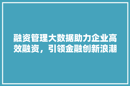 融资管理大数据助力企业高效融资，引领金融创新浪潮