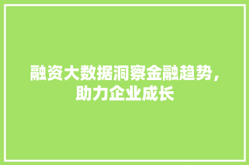 融资大数据洞察金融趋势，助力企业成长