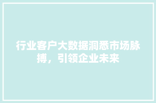 行业客户大数据洞悉市场脉搏，引领企业未来