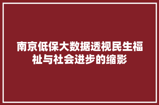 南京低保大数据透视民生福祉与社会进步的缩影