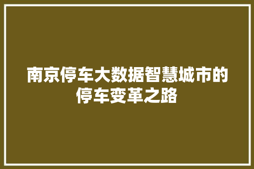 南京停车大数据智慧城市的停车变革之路  第1张