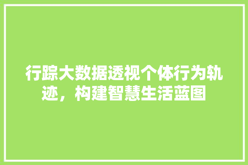 行踪大数据透视个体行为轨迹，构建智慧生活蓝图