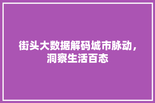 街头大数据解码城市脉动，洞察生活百态  第1张