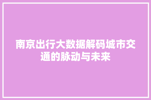 南京出行大数据解码城市交通的脉动与未来  第1张