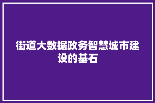 街道大数据政务智慧城市建设的基石