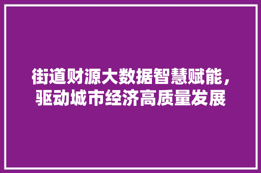 街道财源大数据智慧赋能，驱动城市经济高质量发展
