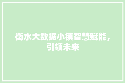 衡水大数据小镇智慧赋能，引领未来
