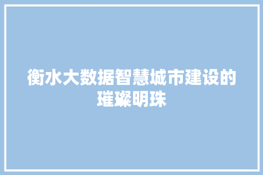 衡水大数据智慧城市建设的璀璨明珠  第1张