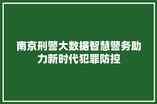 南京刑警大数据智慧警务助力新时代犯罪防控  第1张