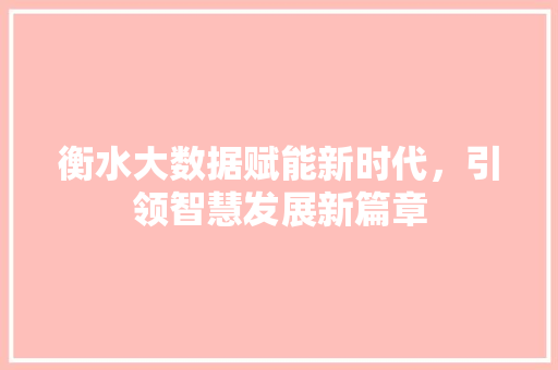 衡水大数据赋能新时代，引领智慧发展新篇章  第1张
