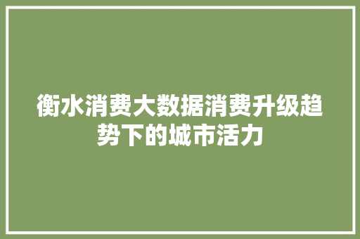 衡水消费大数据消费升级趋势下的城市活力