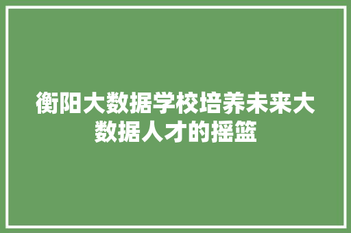 衡阳大数据学校培养未来大数据人才的摇篮