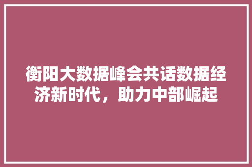 衡阳大数据峰会共话数据经济新时代，助力中部崛起