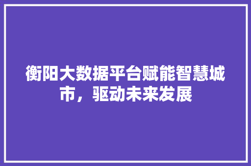衡阳大数据平台赋能智慧城市，驱动未来发展