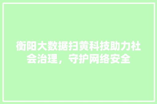 衡阳大数据扫黄科技助力社会治理，守护网络安全