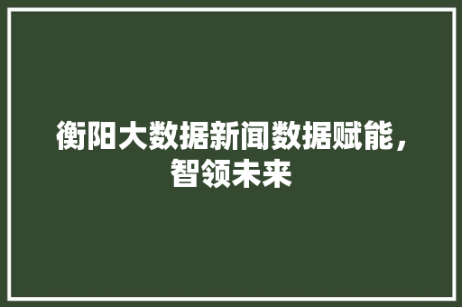 衡阳大数据新闻数据赋能，智领未来
