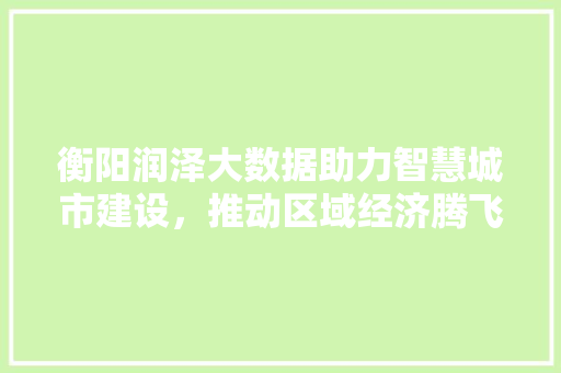 衡阳润泽大数据助力智慧城市建设，推动区域经济腾飞