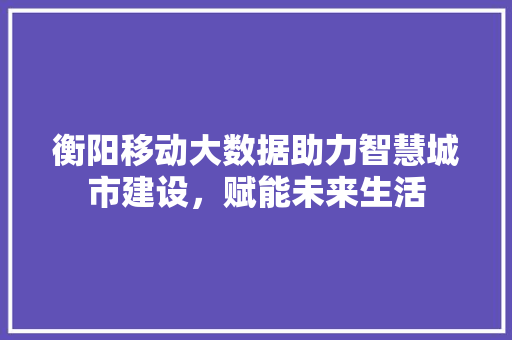 衡阳移动大数据助力智慧城市建设，赋能未来生活