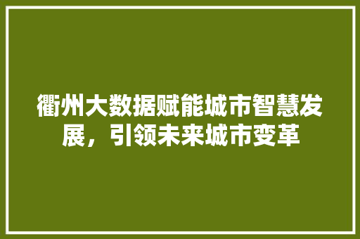 衢州大数据赋能城市智慧发展，引领未来城市变革
