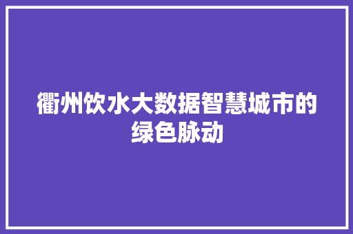 衢州饮水大数据智慧城市的绿色脉动  第1张