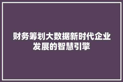 财务筹划大数据新时代企业发展的智慧引擎