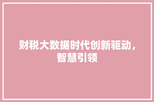 财税大数据时代创新驱动，智慧引领