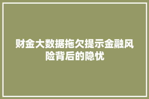 财金大数据拖欠提示金融风险背后的隐忧