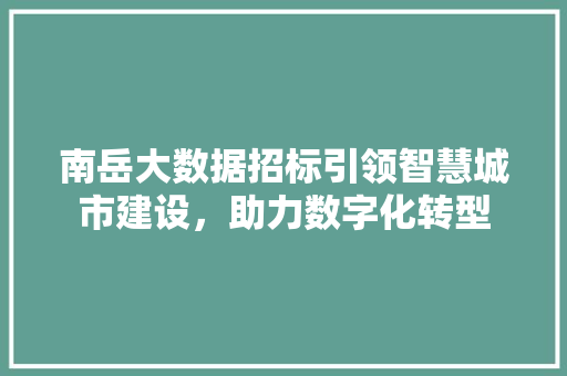 南岳大数据招标引领智慧城市建设，助力数字化转型