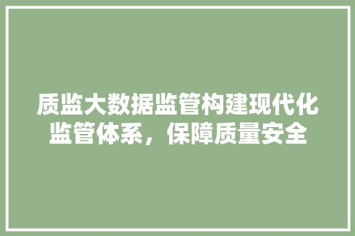 质监大数据监管构建现代化监管体系，保障质量安全  第1张