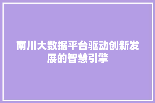 南川大数据平台驱动创新发展的智慧引擎