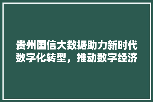 贵州国信大数据助力新时代数字化转型，推动数字经济发展新格局