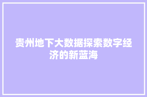 贵州地下大数据探索数字经济的新蓝海  第1张