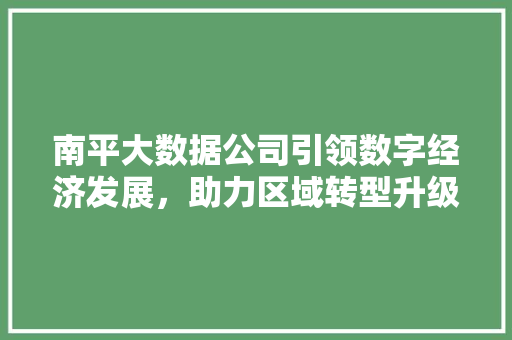 南平大数据公司引领数字经济发展，助力区域转型升级