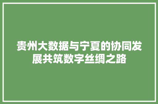 贵州大数据与宁夏的协同发展共筑数字丝绸之路