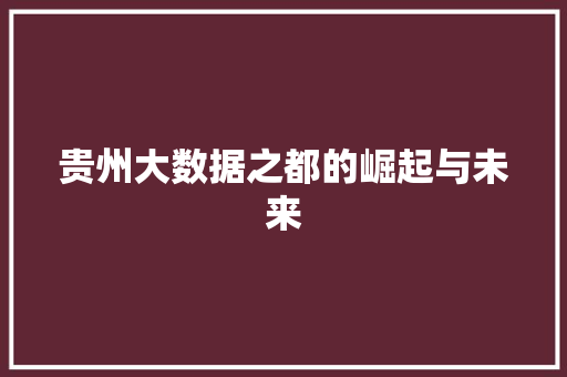 贵州大数据之都的崛起与未来  第1张