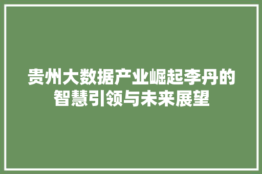 贵州大数据产业崛起李丹的智慧引领与未来展望  第1张