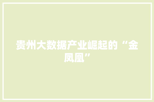 贵州大数据产业崛起的“金凤凰”  第1张