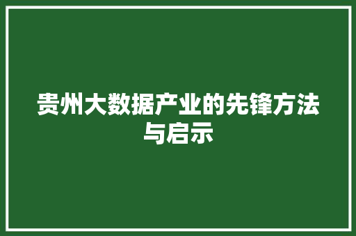 贵州大数据产业的先锋方法与启示  第1张