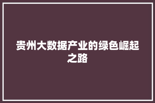 贵州大数据产业的绿色崛起之路