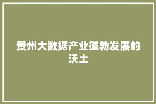 贵州大数据产业蓬勃发展的沃土  第1张