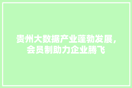 贵州大数据产业蓬勃发展，会员制助力企业腾飞  第1张