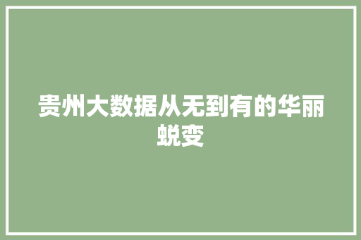 贵州大数据从无到有的华丽蜕变  第1张