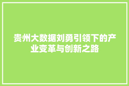 贵州大数据刘勇引领下的产业变革与创新之路  第1张